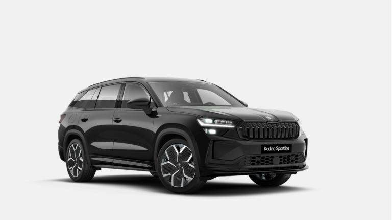 Mobire automobilių veiklos nuoma su paslaugomis - Skoda Kodiaq