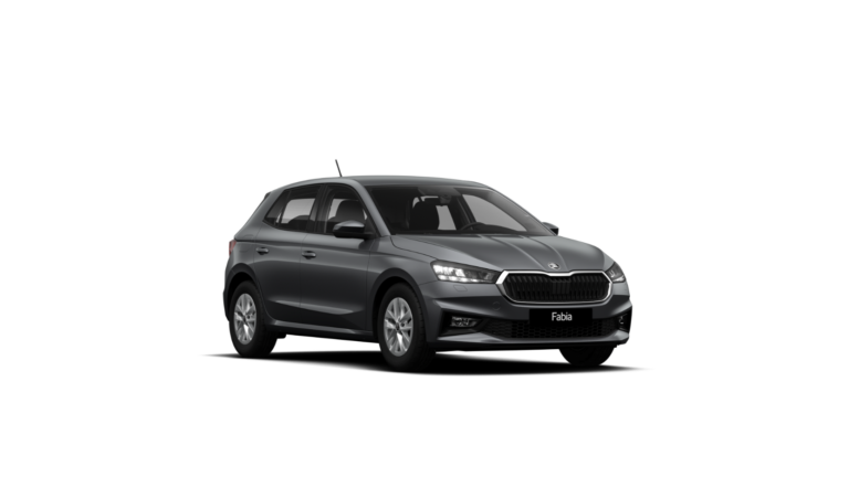 Mobire automobilių veiklos nuoma su paslaugomis - Skoda Fabia